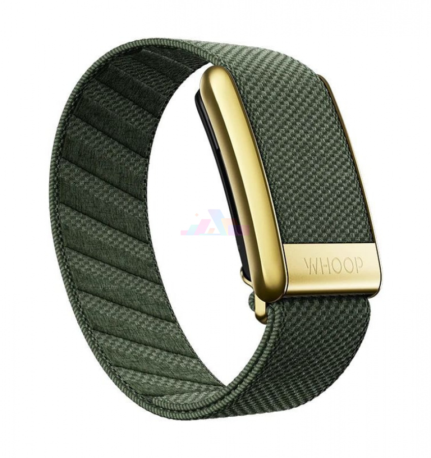 Фото Купить Ремешок для Whoop 4.0 SuperKnit Luxe Band (Ivy & Gold) по низкой цене в
