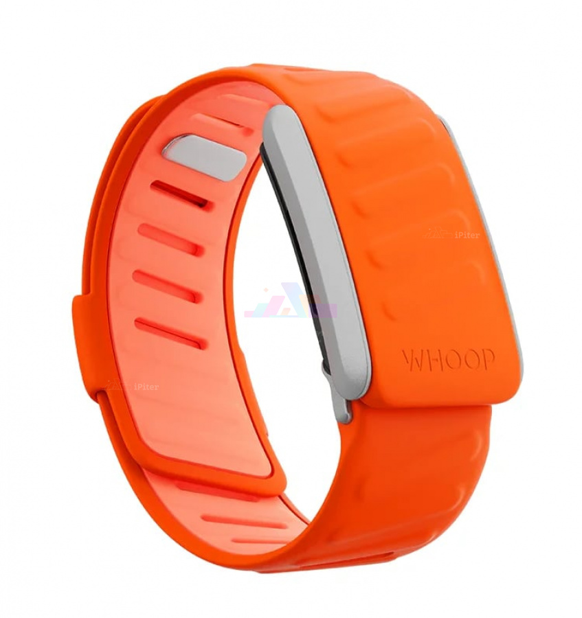Фото Купить Ремешок для Whoop 4.0 SportFlex Band (Surge) по низкой цене в