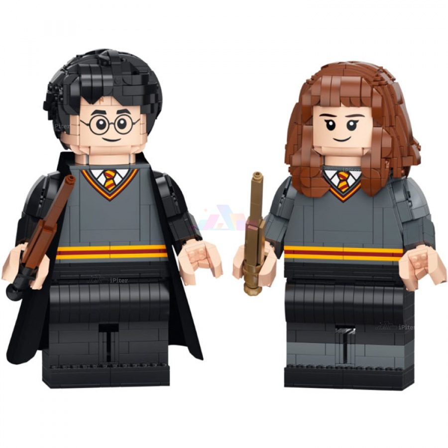 Фото Купить Конструктор LEGO Harry Potter 76393 Гарри Поттер и Гермиона Грейнджер по низкой цене в