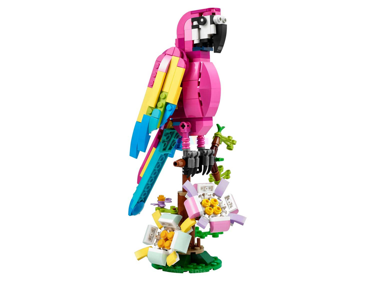 Фото Купить LEGO Creator 31144 Экзотический розовый попугай, 3в1 по низкой цене в