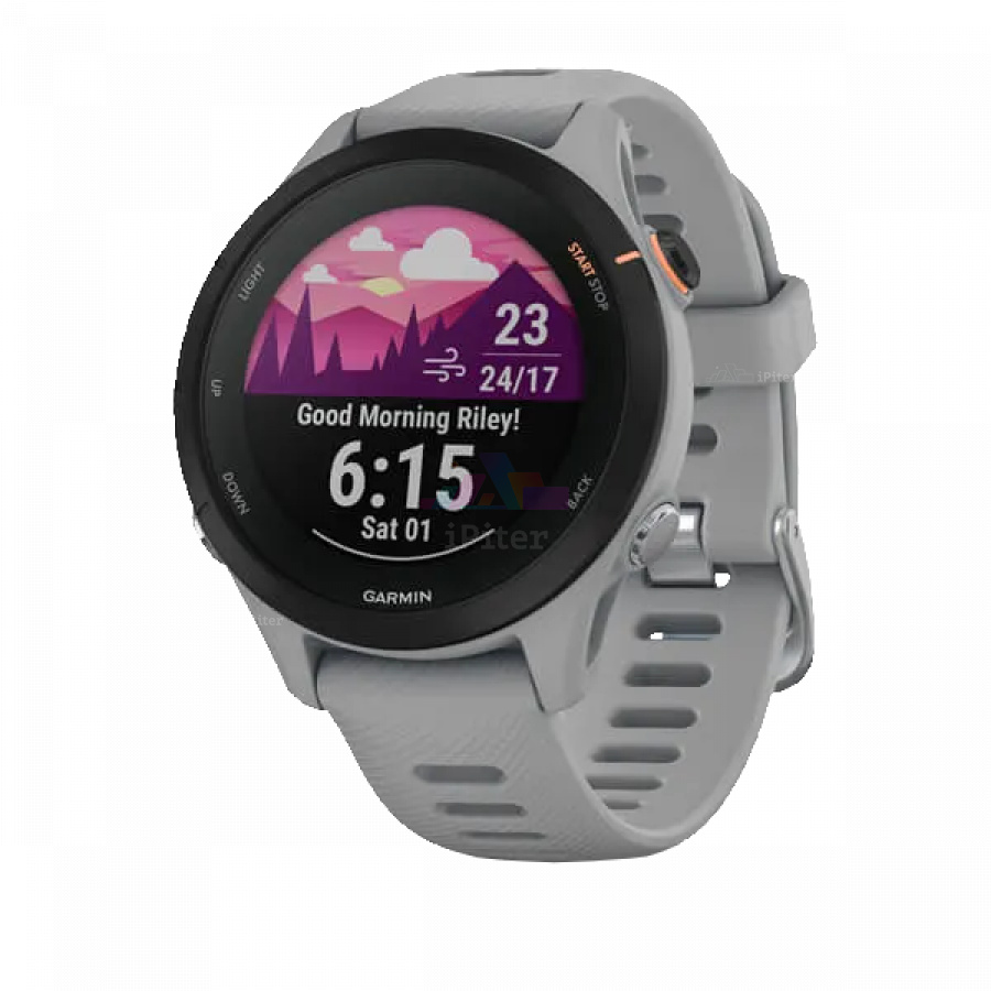 Фото Купить Умные часы Garmin Forerunner 255S Серый (010-02641-12) по низкой цене в