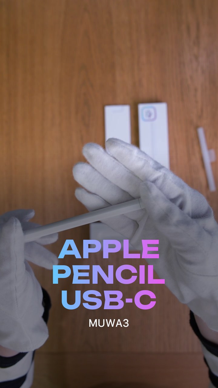 Apple Pencil USB-C (MUWA3)