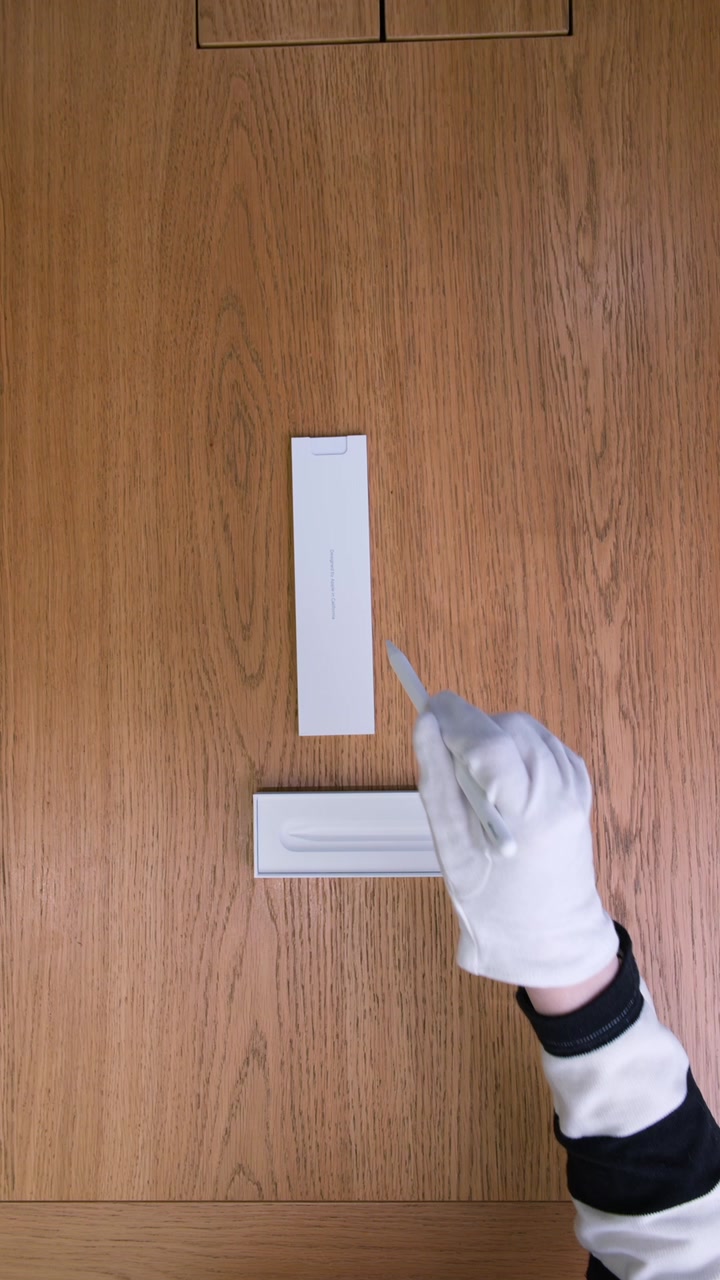 Apple Pencil USB-C (MUWA3)