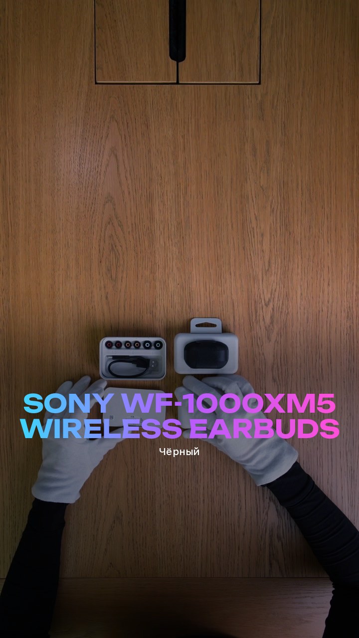 Sony WF-1000XM5 Wireless Earbuds (Чёрный)