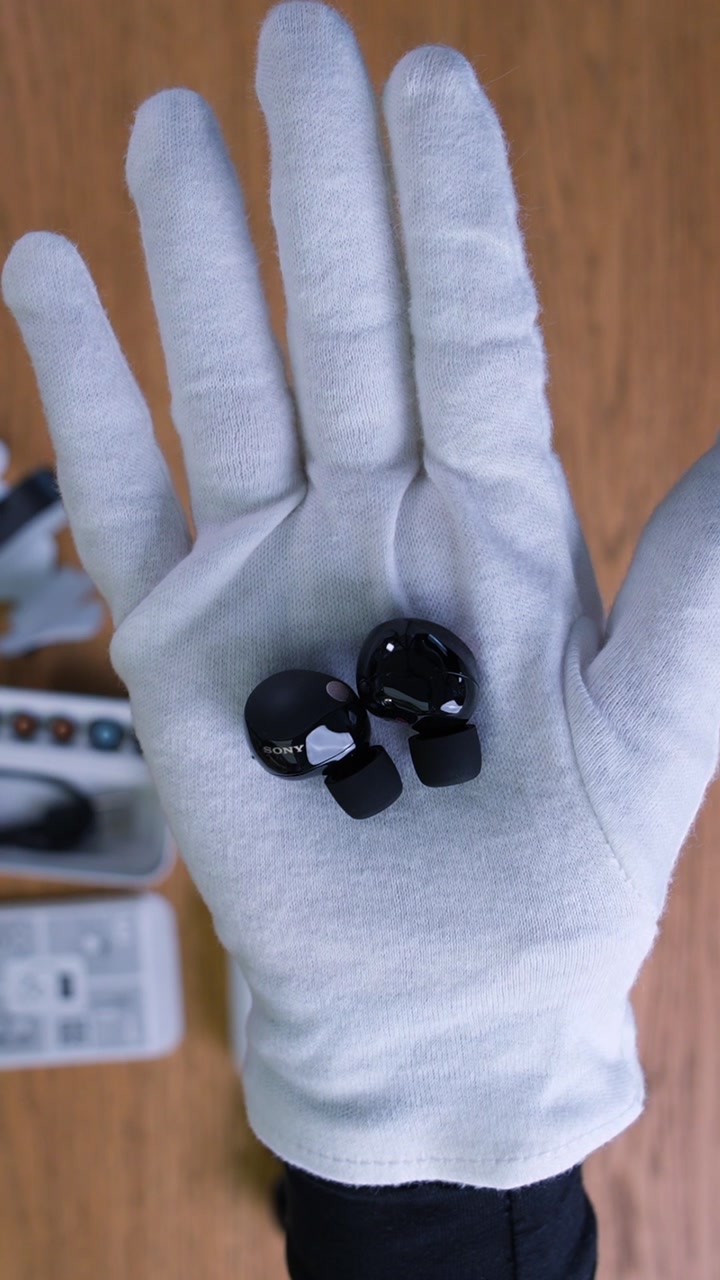 Sony WF-1000XM5 Wireless Earbuds (Чёрный)