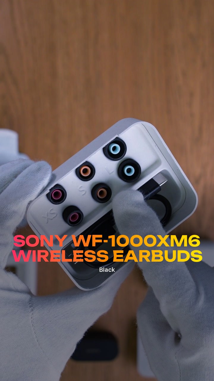 Sony WF-1000XM6 Wireless Earbuds (Black)