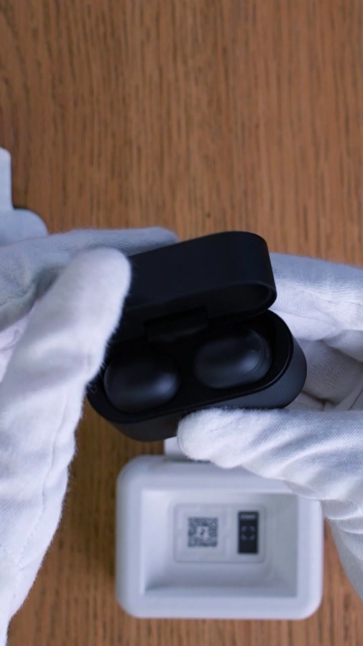 Sony WF-1000XM6 Wireless Earbuds (Black)