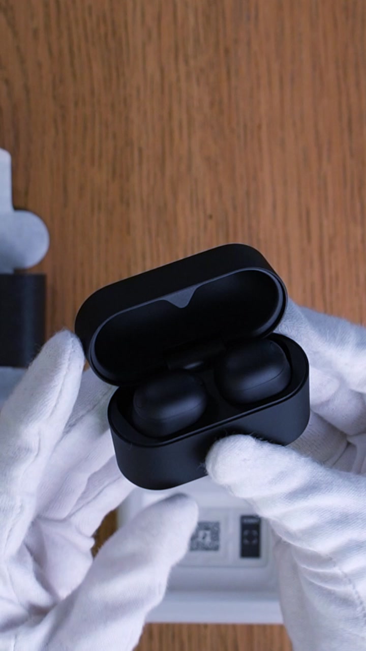 Sony WF-1000XM6 Wireless Earbuds (Black)